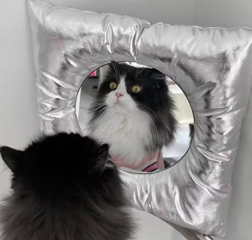 Funny cat looking into a PillowMirrorr
