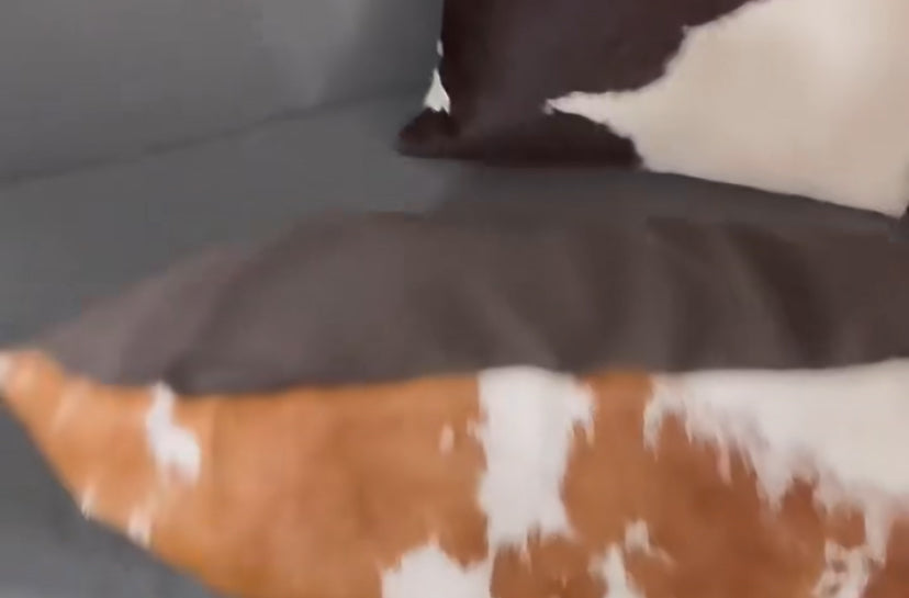Modern living room cow print pillow cover case Back