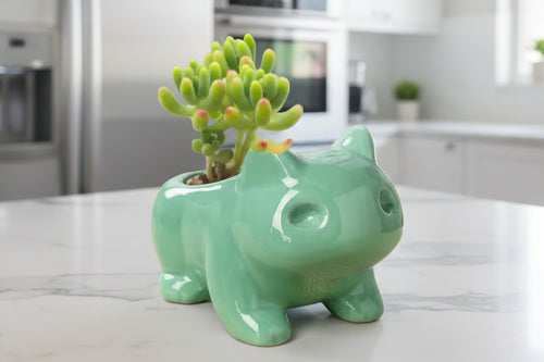 Pokémon succulent planter by Just Peachy