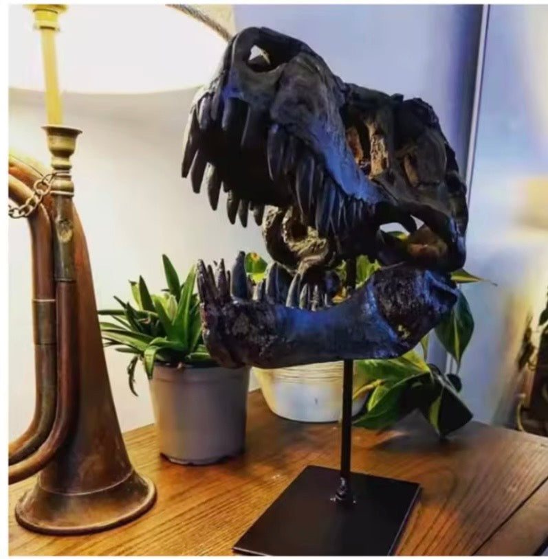 Tyrannosaurus Rex trophy decor