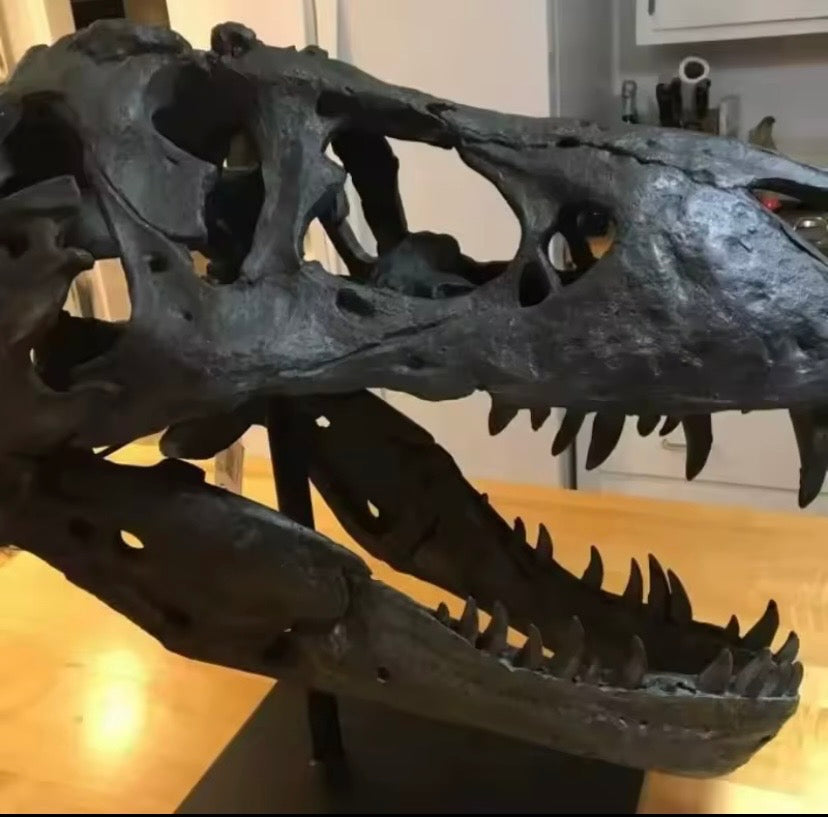 Unique T-Rex trophy decor